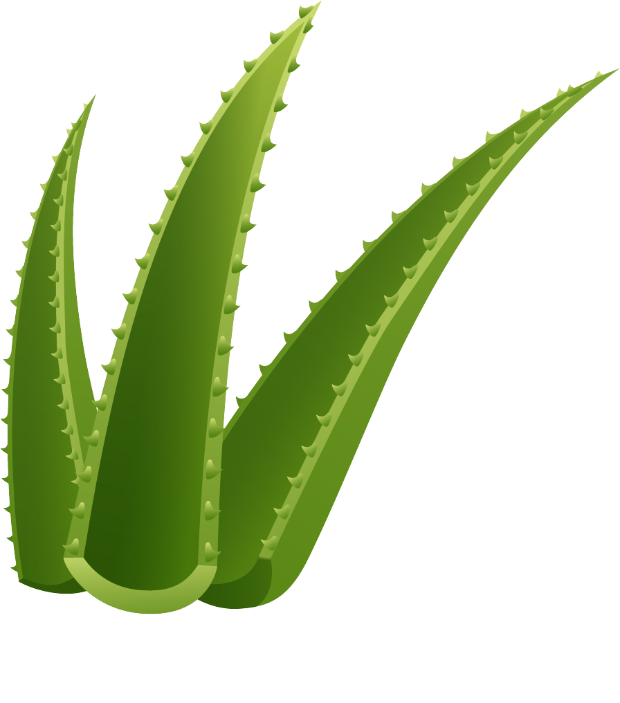 Aloe@4x