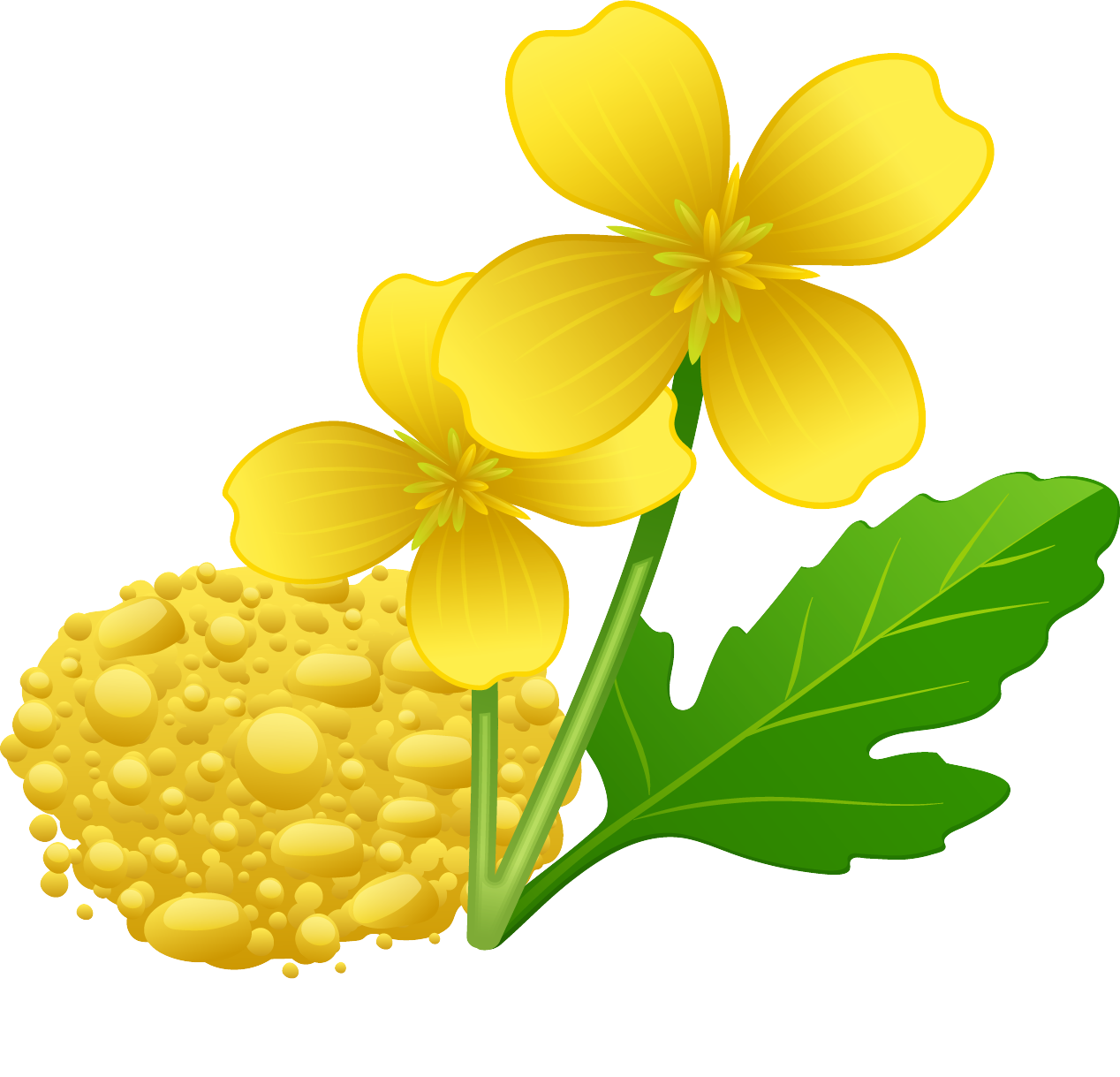 Mustard@4x