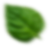 revslider_h2-leaf.png